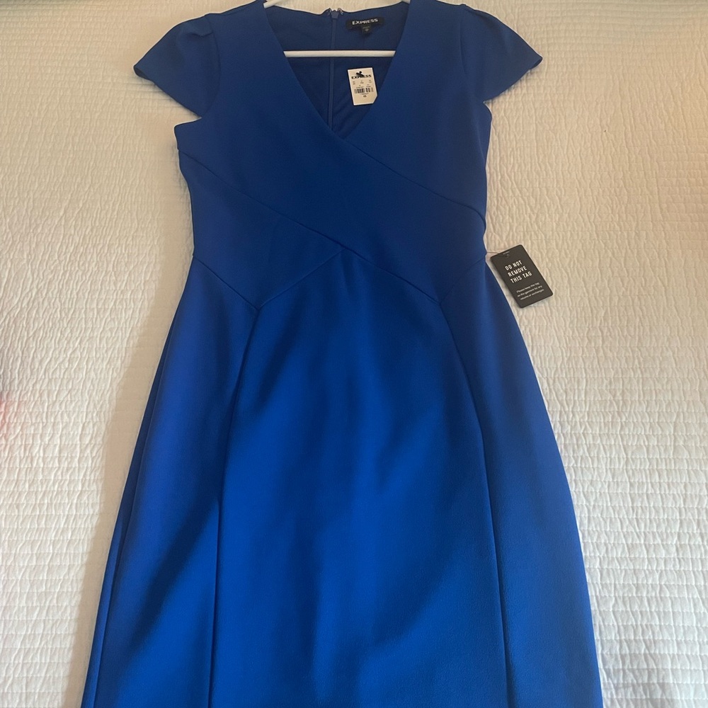 Express Sheath dress